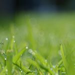 Mieszkanie na mikołaja – update Jankesa